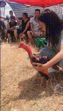 “假如你被关进精神病院，请用一句话证明自己不是”！神评太逗了