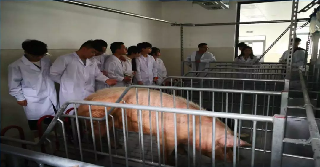 四川省拥有国家级生产性实训基地的26所“高职单招”院校