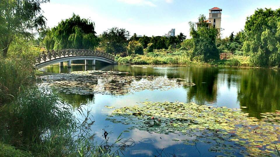 招生1024人学费5万元每年，上海艺术学院2021年录取数据分析