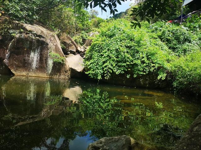 园山风景区好玩吗(园山风景区有什么好玩的)