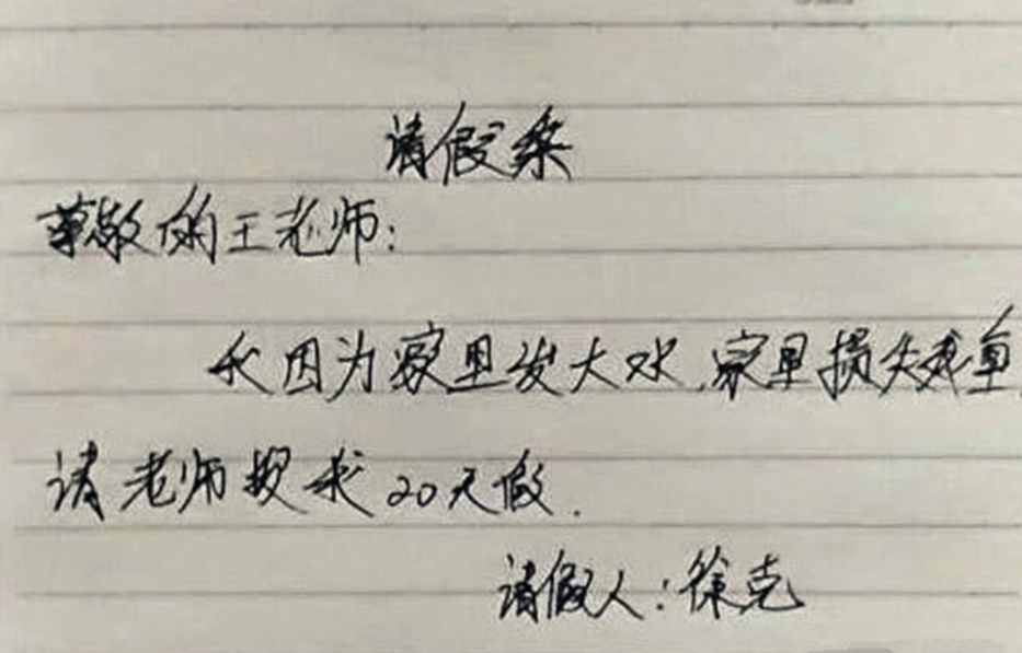 小学生“请假条”走红，理由让人不忍拒绝，网友：别人家的姐姐