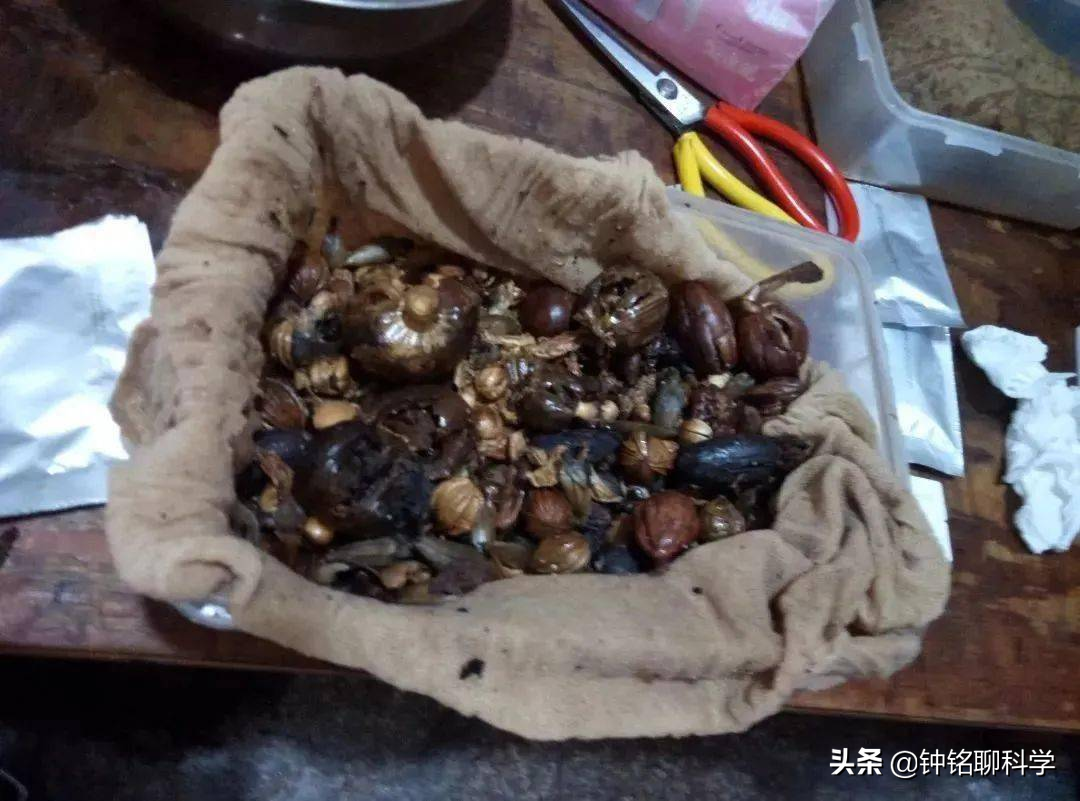 误食添加罂粟壳的食物会上瘾吗？3人吃羊肉米线后被验出吸毒