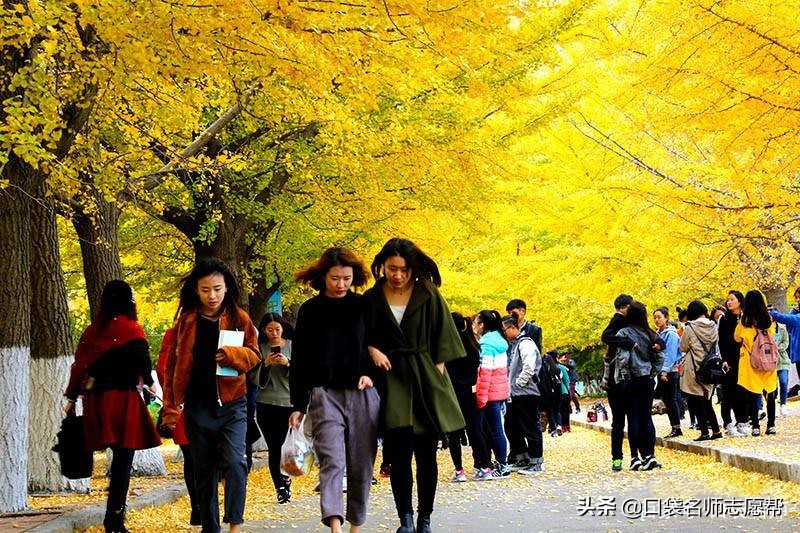 “退学率”较高4所大学，管理严格要求高，能毕业的都是学霸