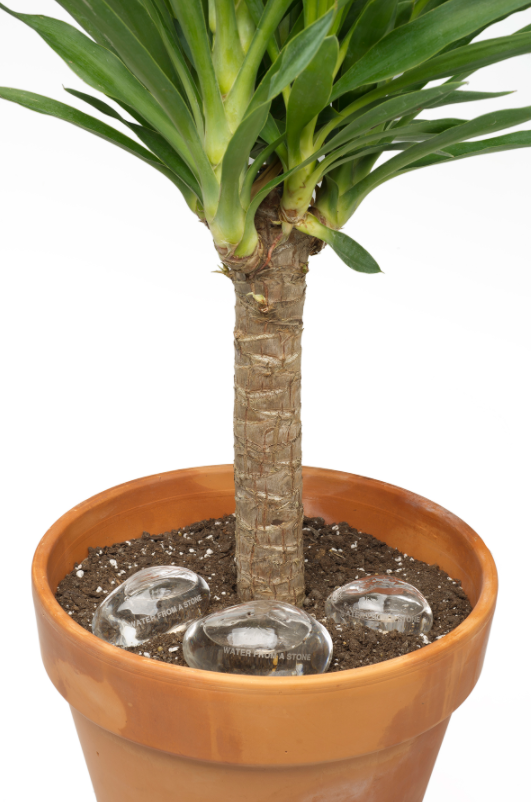 今年QS美国大学排行榜里，藏了哪些艺术强校？