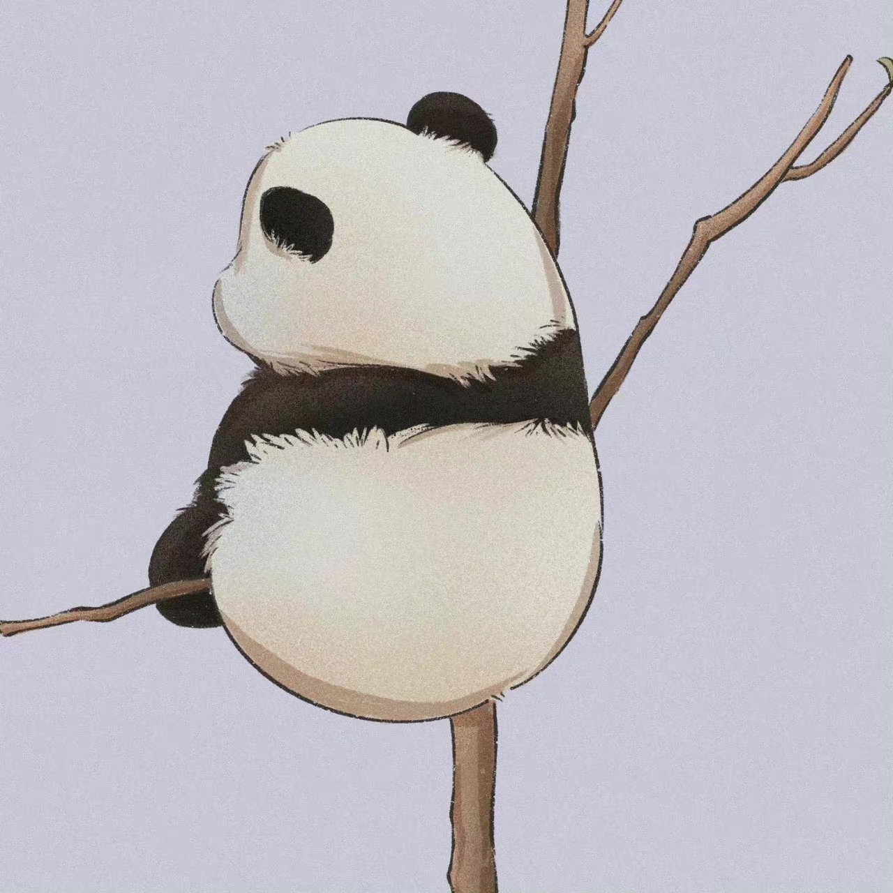 开朗网友熊猫头像图片