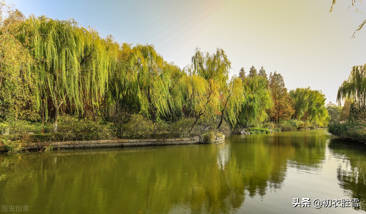 杨柳是什么季节（总结清美柔韧秋柳古诗四首）