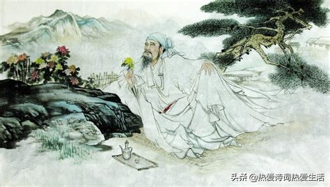 隐逸山林，采菊东篱下的静谧诗篇