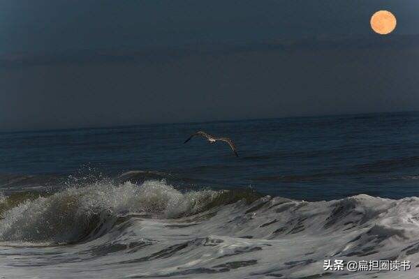 《旅夜书怀》：道尽杜甫半生飘零的凄苦与孤寂