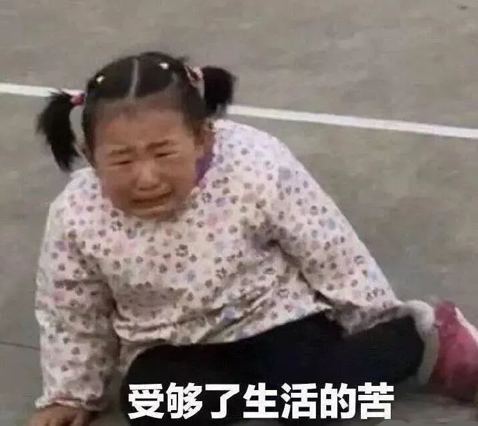 2017高考关于保险（高考出分后）