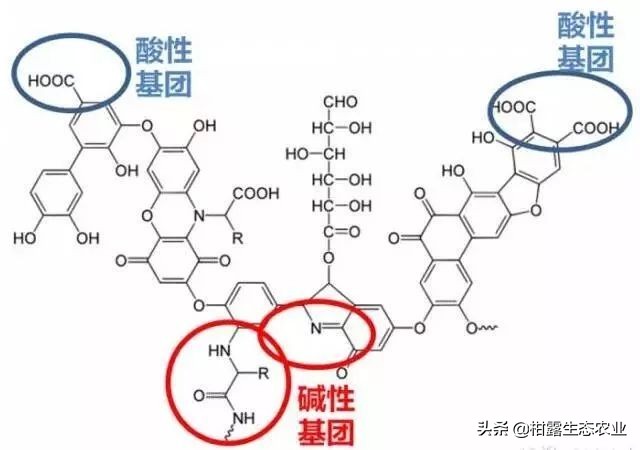 腐植酸，就是这么牛！如何挑选优质的腐植酸肥料