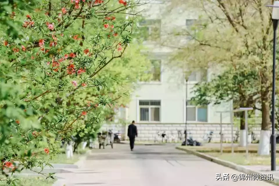 锦州渤海大学！全国最美大学之一！新入学的同学想知道的都在这里