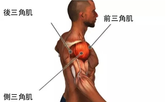 一组经典的肩部训练对肩膀有足够的刺激，磨练完美厚重的肩膀