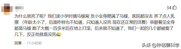 为什么马蜂伤人多在秋天？马蜂毒性有多强，被马蜂蛰了怎么办？