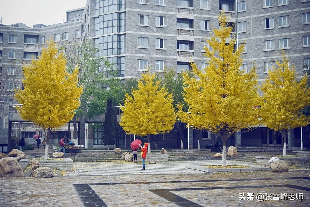 张雪峰老师：盯上这22所院校的22考研党，复试压力瞬间减小