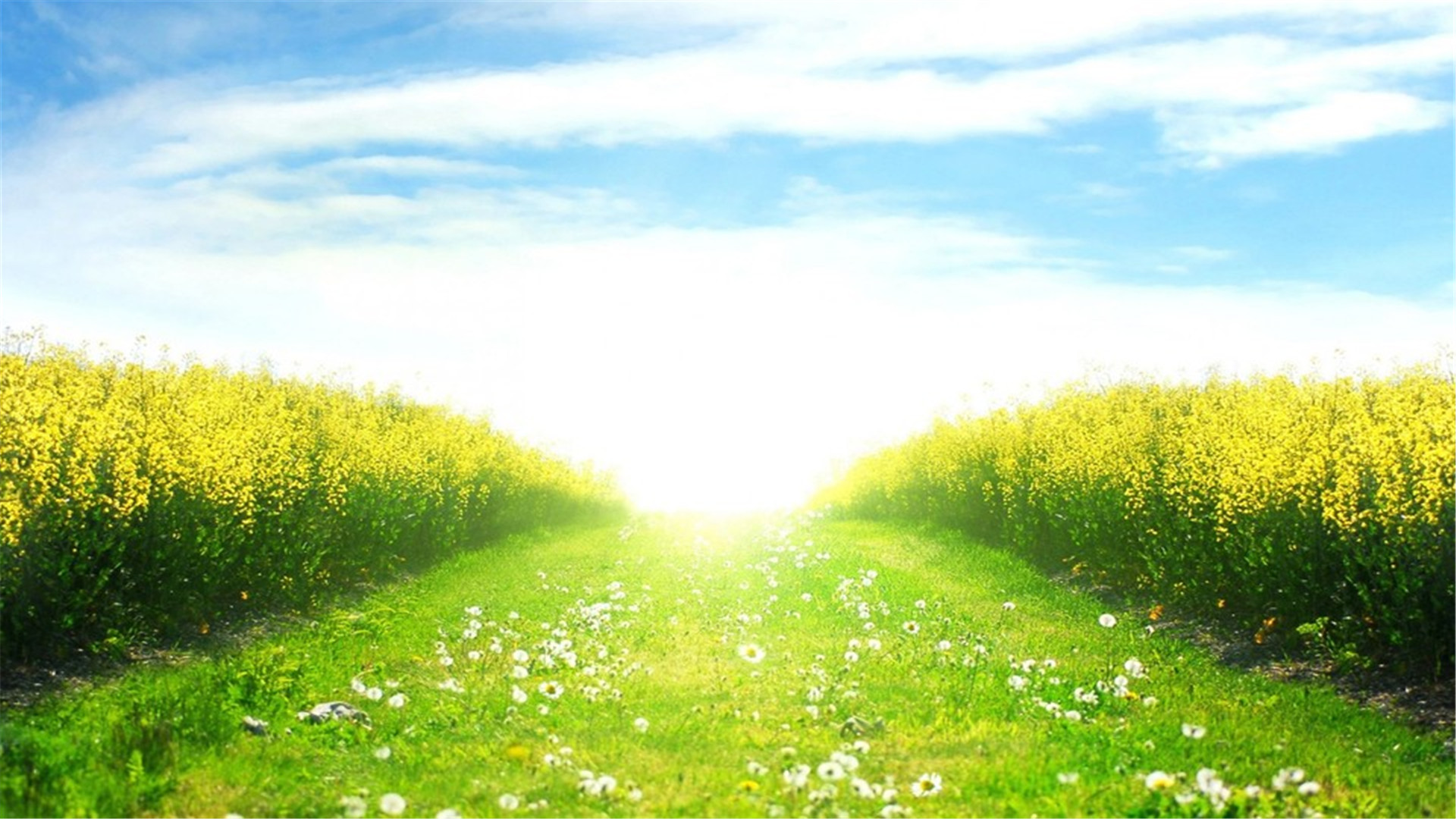 好看的桌面壁纸电脑桌面壁纸软件