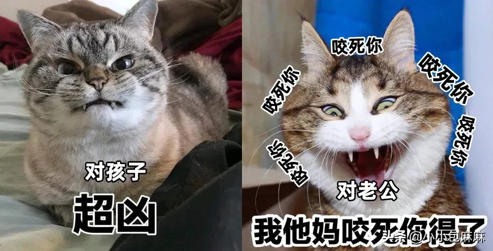 中年男人是如何把这个姿势做到全国统一的？