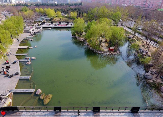 国家专项分数线来啦！河南这所高校分数线再创新高