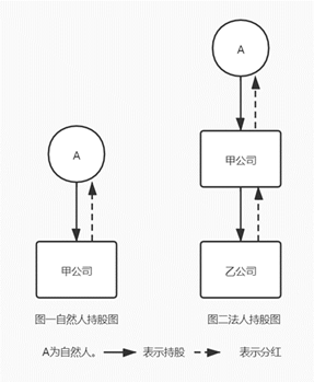 注册什么公司（系列）