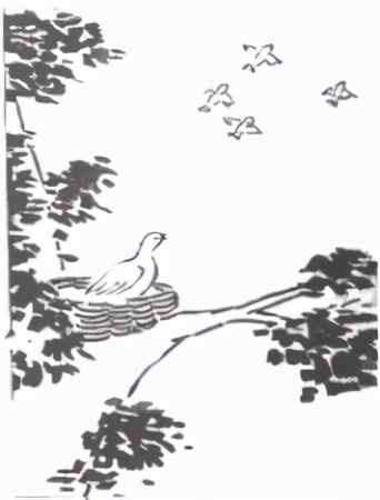 高考英语：议论文常用句型及满分模板。不提分，可以来骂我