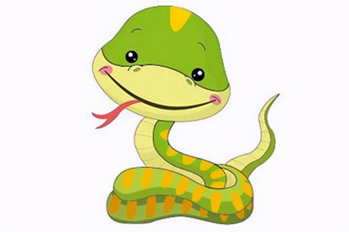 森蚺图片(我国体型最大的蛇) - 赤虎壹号