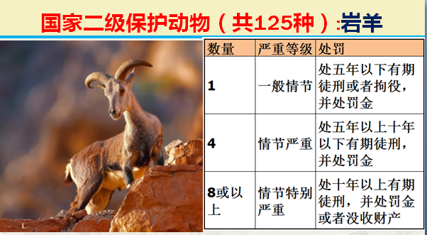 二级保护动物（国家最新125类二级野生保护名录）