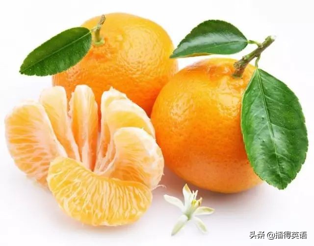 橘子的(de)英语怎么读（橘子的英语怎么读啊）-悠嘻资讯网
