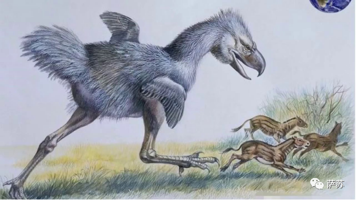 恐龙前后统治地球的动物都姓"恐"?恐鱼霸占大海,恐鸟横行大陆