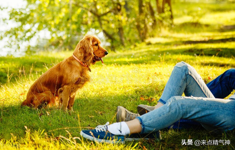 肝虚火的人“筋”无弹性，易冲动却不持久，还爱做种梦