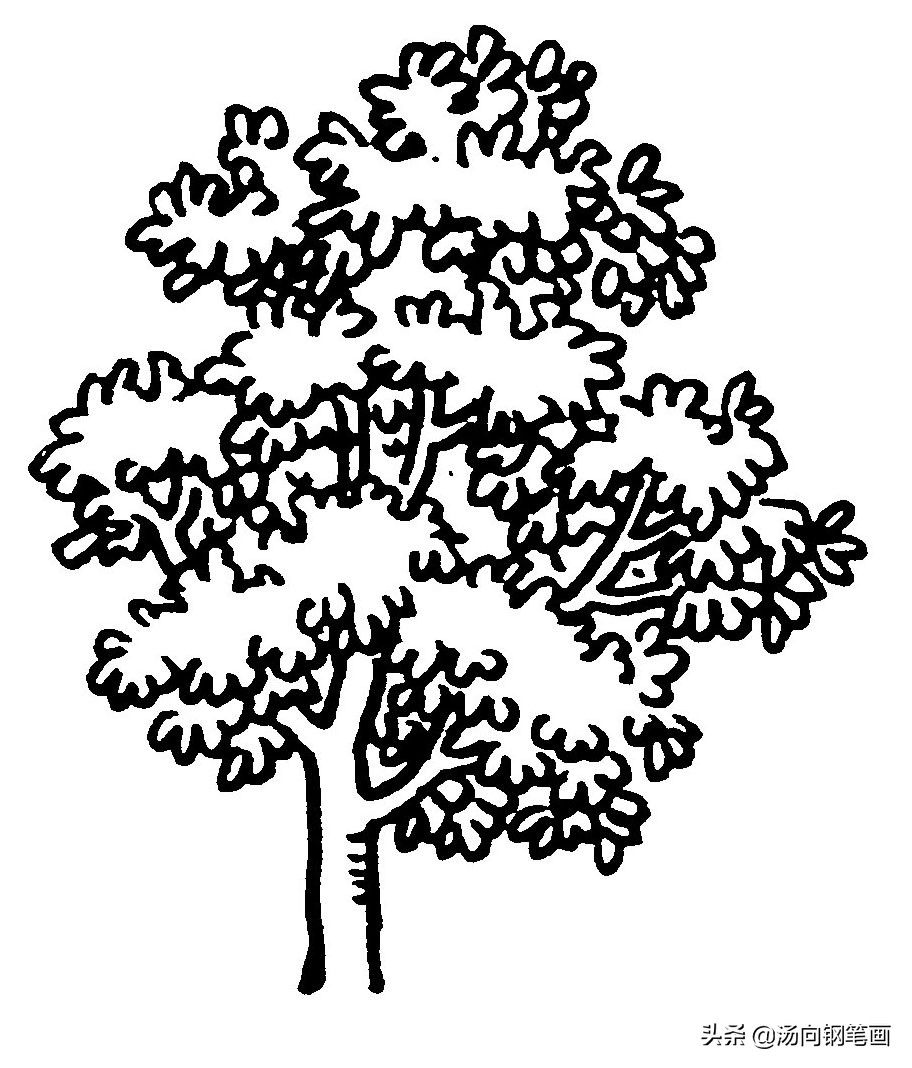 钢笔画零基础学习，茂密的树或树林连成一片，用这种画法表最好