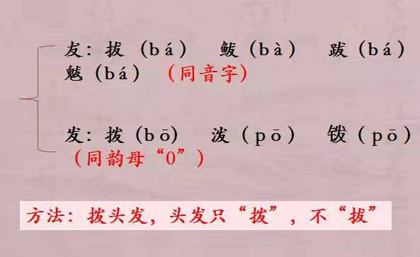 字词太多太难记不住？资深语文老师：死记硬背不如思考总结