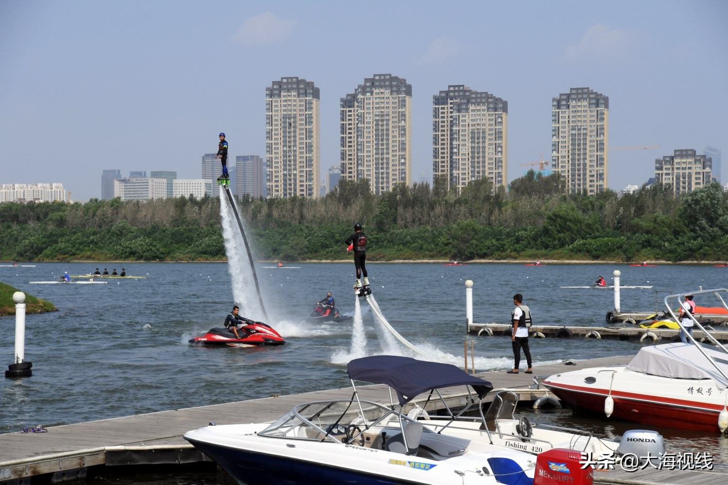 沈阳浑河足球场开放时间最新(沈阳浑河有十座公园 赏花海看天鹅宝宝，周末小游避暑好去处)