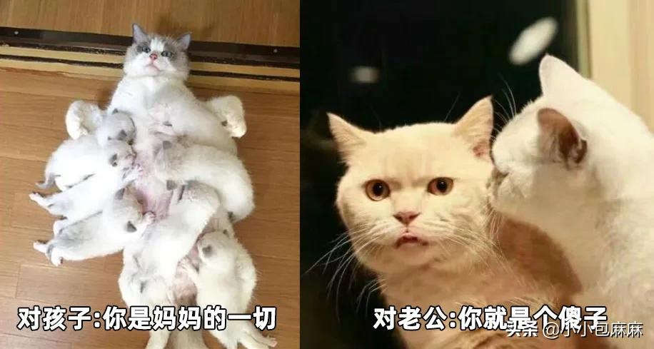 中年男人是如何把这个姿势做到全国统一的？