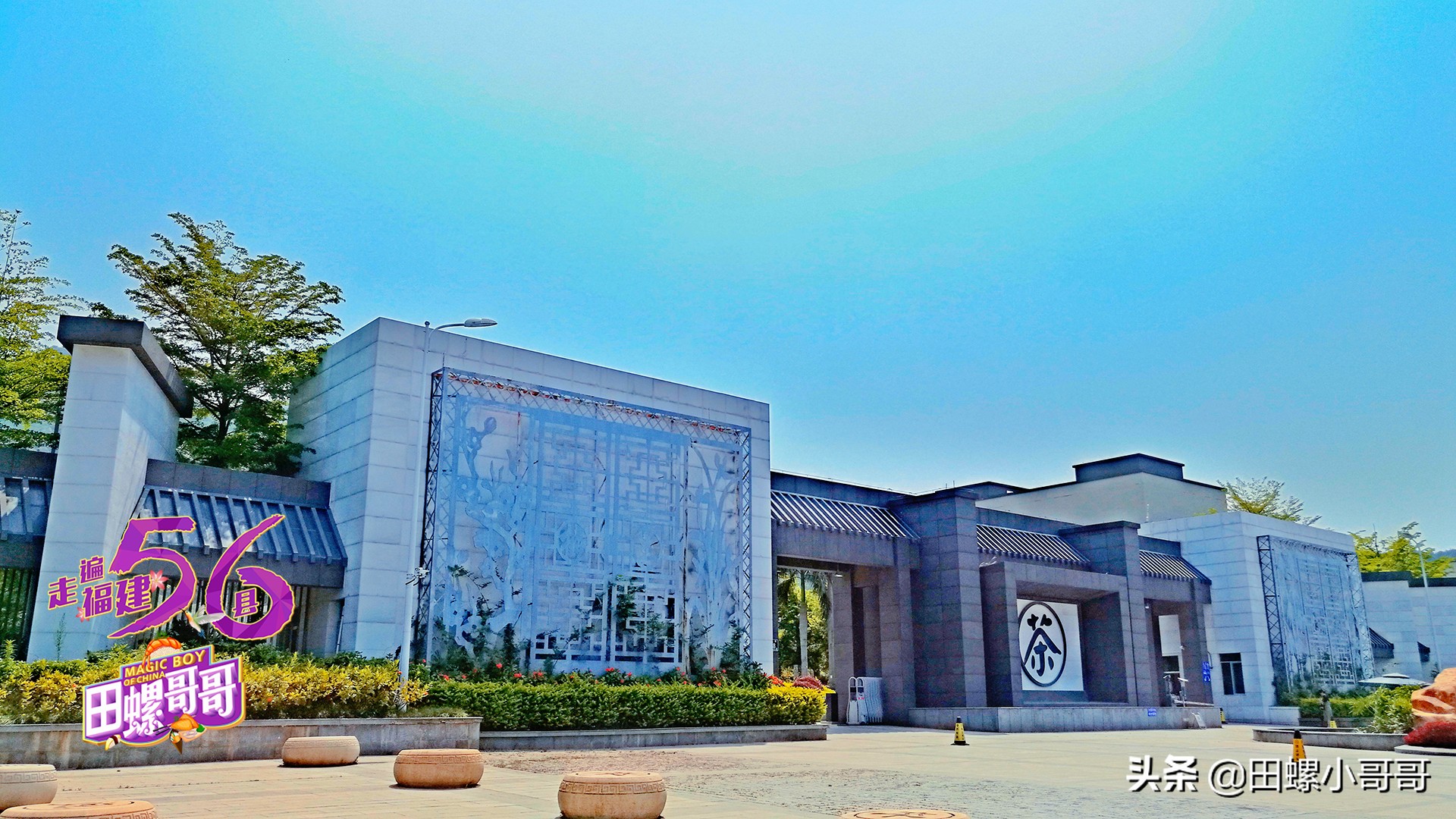 中国第一所，也是唯一一所本科茶学院，深藏于大山里，清新似茶！