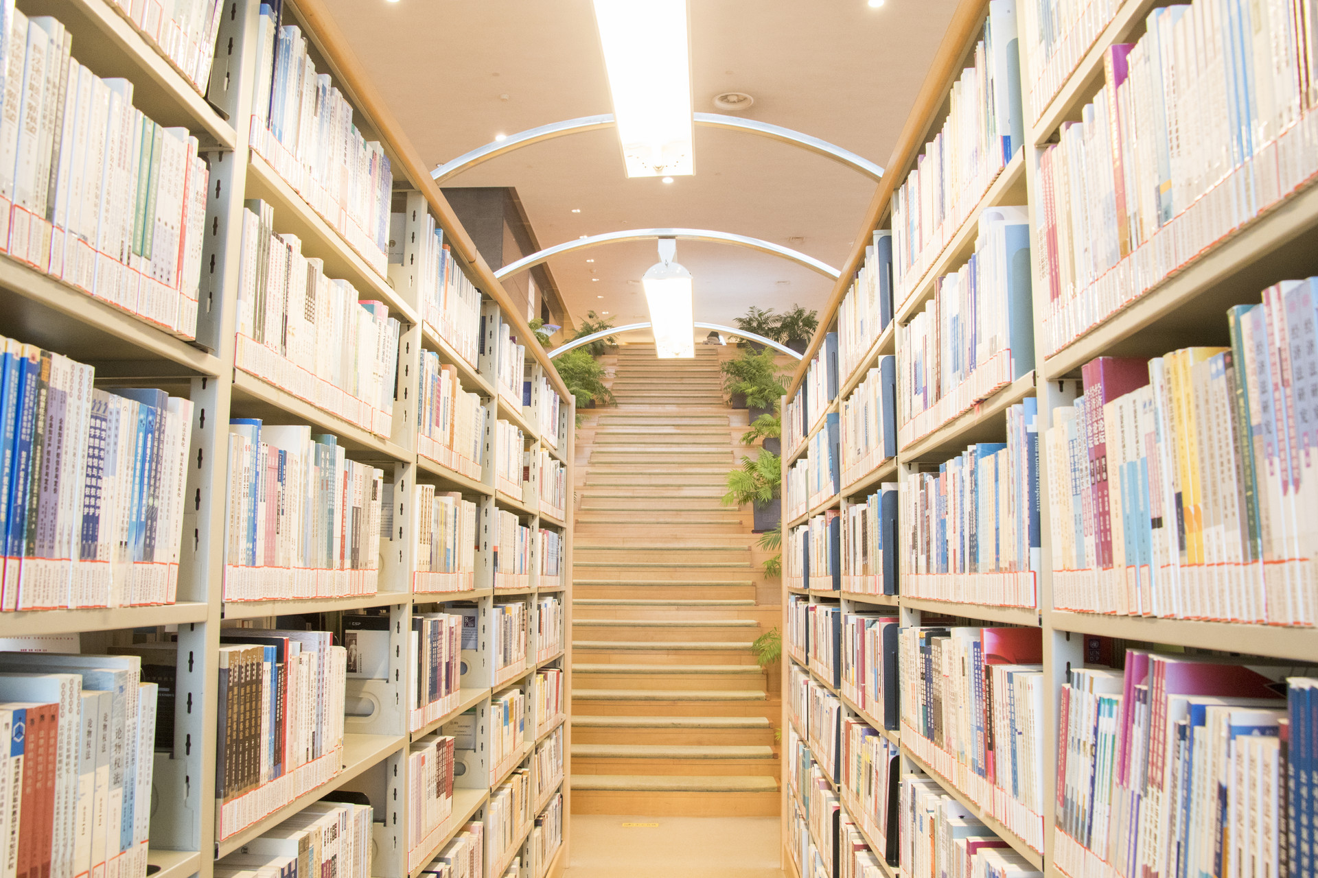 成考最快多久可以拿到本科证，拿证的时间如何计算？