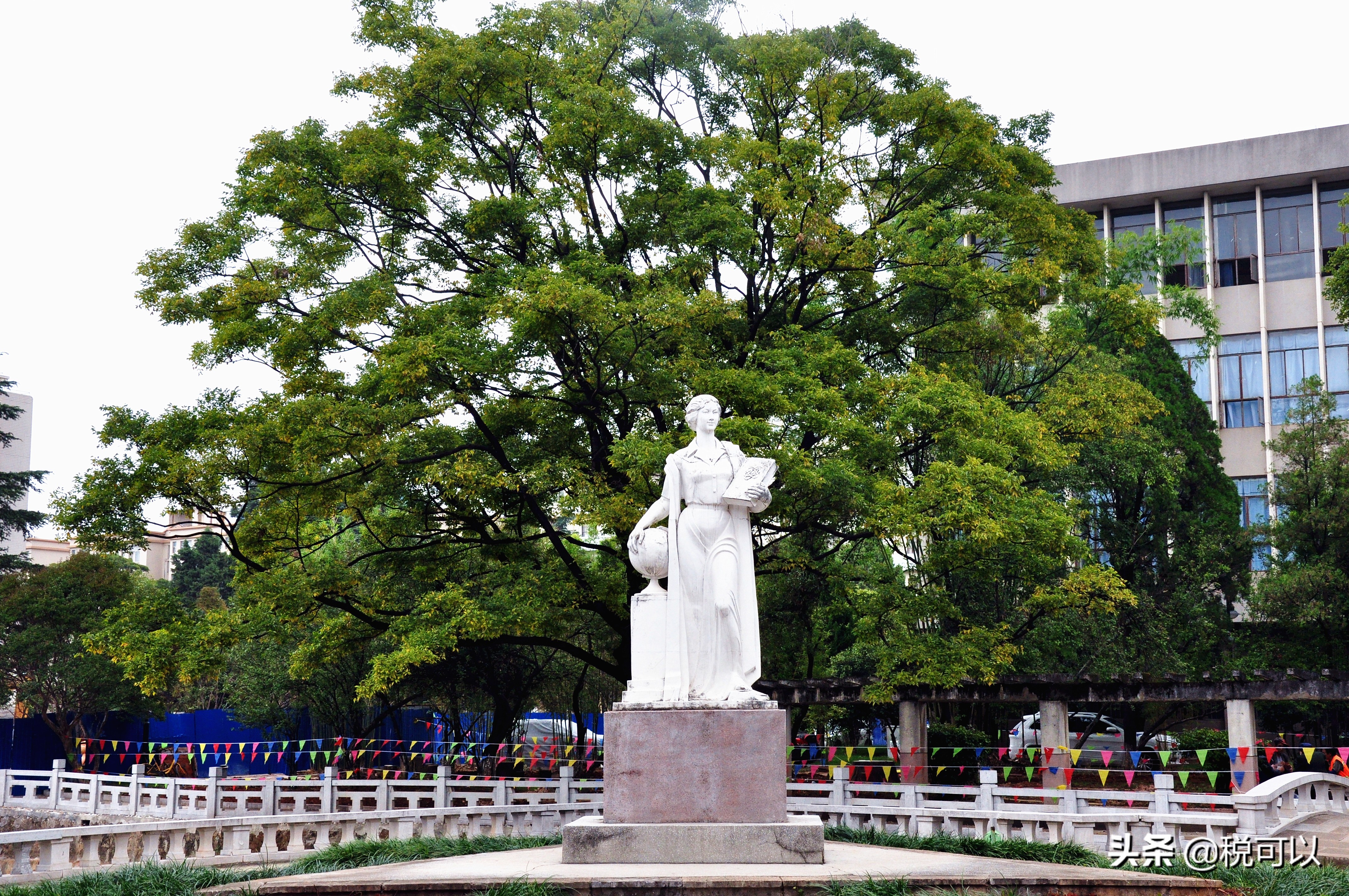 云南师范大学，和80年前的西南联大，到底啥关系？