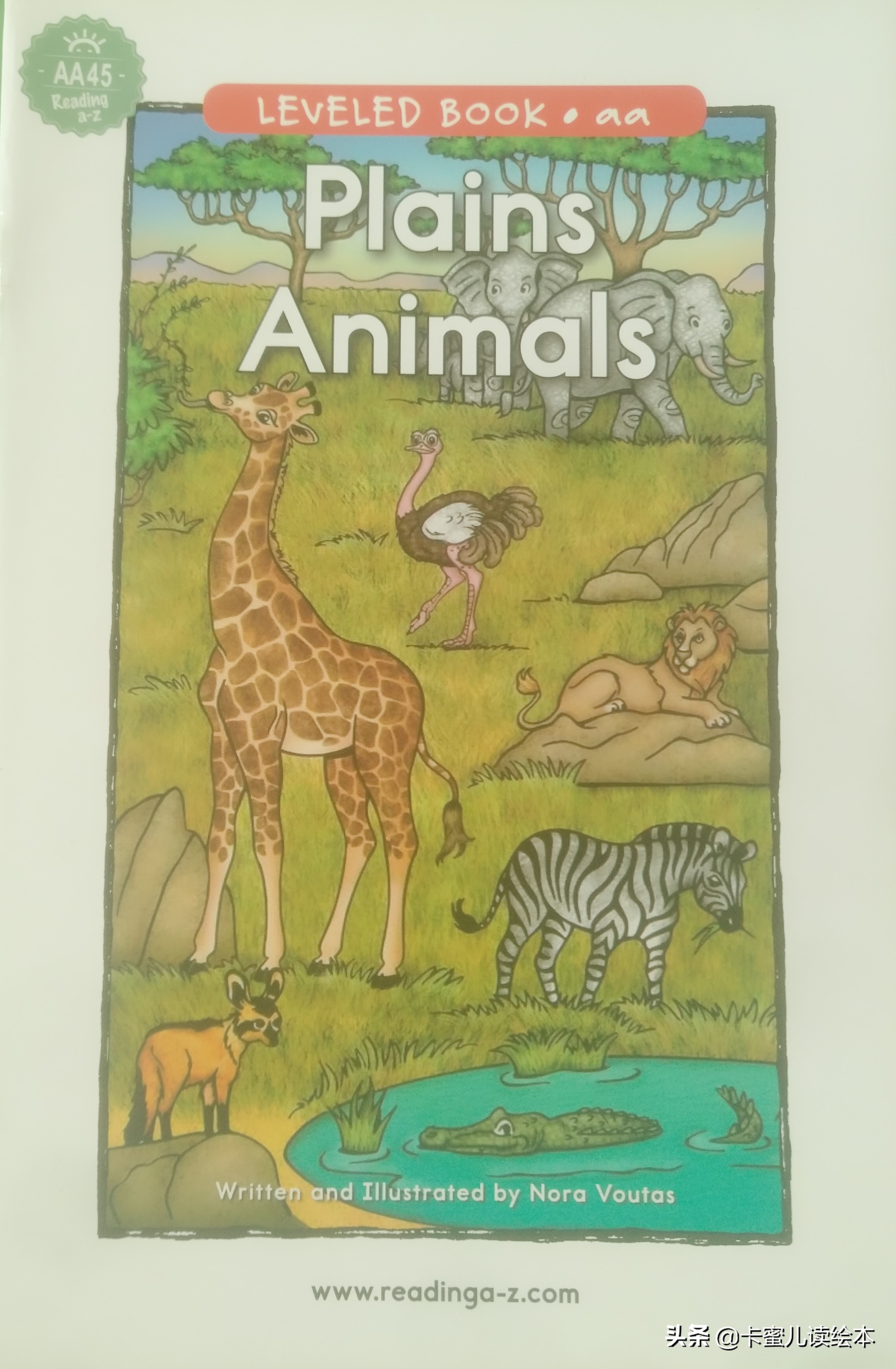 Animals英文有声绘本故事：让孩子在趣味阅读中学习动物知识