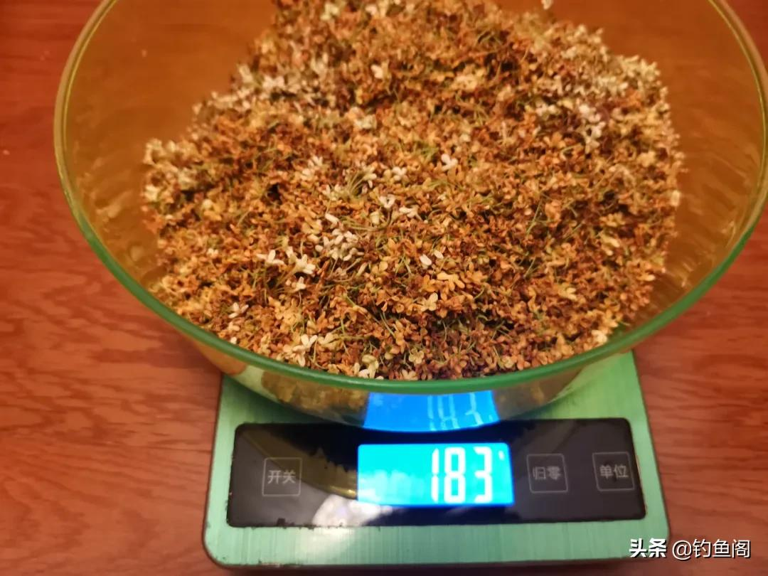 手把手教你制作桂花药酒,钓鲫鱼效果很好,制作简单还省钱