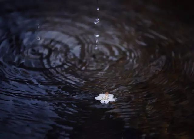 下雨天，随处都是景，怎么拍出意境？