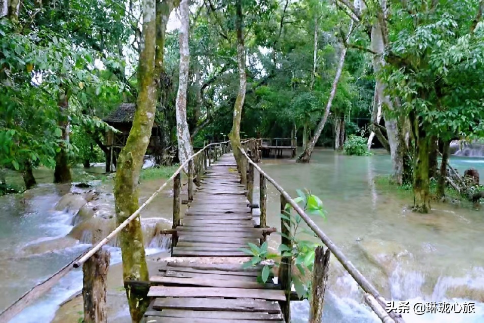 跳水是大象吗(老挝自由行三：白雪瀑布游泳跳水骑大象，偶遇小和尚沐浴归来)