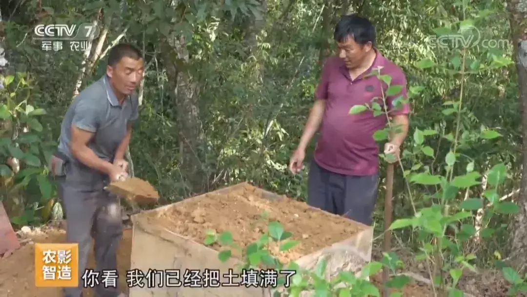 挖个坑,埋点土,秋后抬回两千万!蜂农中的绝命毒师