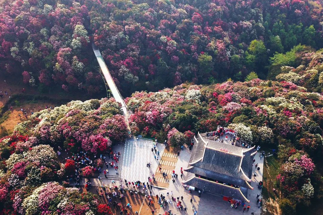 贵州又一景点火了！世界上最大的天然花园，4天3晚超详细攻略