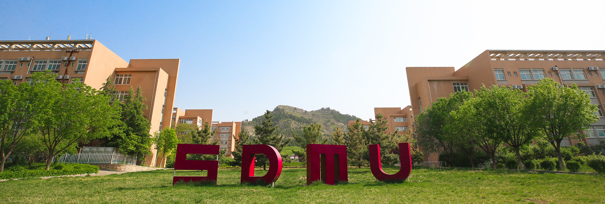 以管理学科为主体的特色高校，山东管理学院2020年招生计划