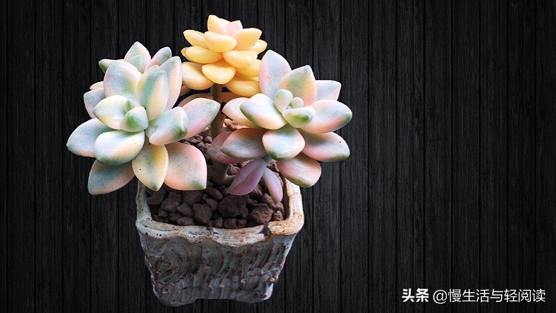 真的免费？5年9大板块5000字的期刊，真的免费