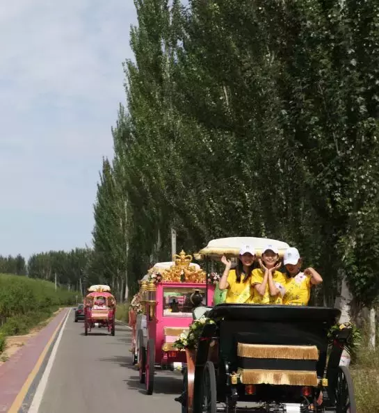 50多名高颜值大长腿美女汇聚巴彦淖尔，快来围观