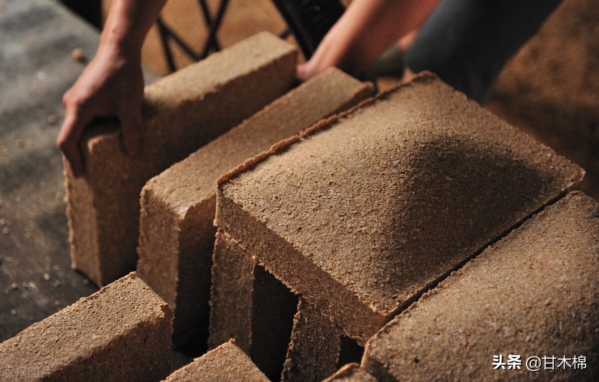 黄酒酒曲(酒曲的种类及发酵技术简介)