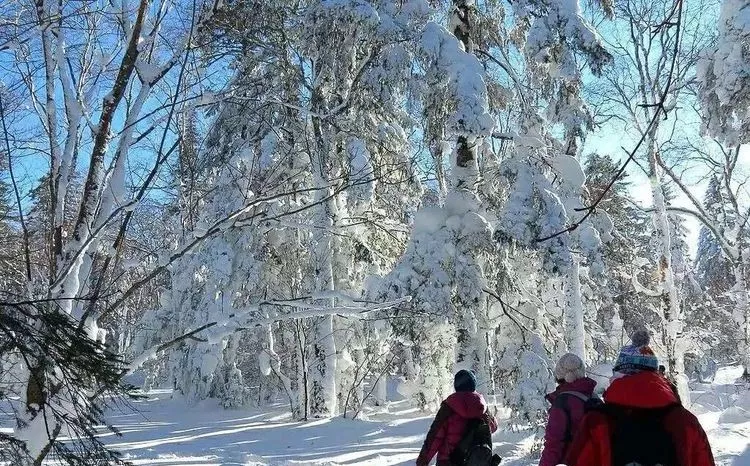 人生到处知何似，应似飞鸿踏雪泥，长白山一片雪白，等你留下脚印