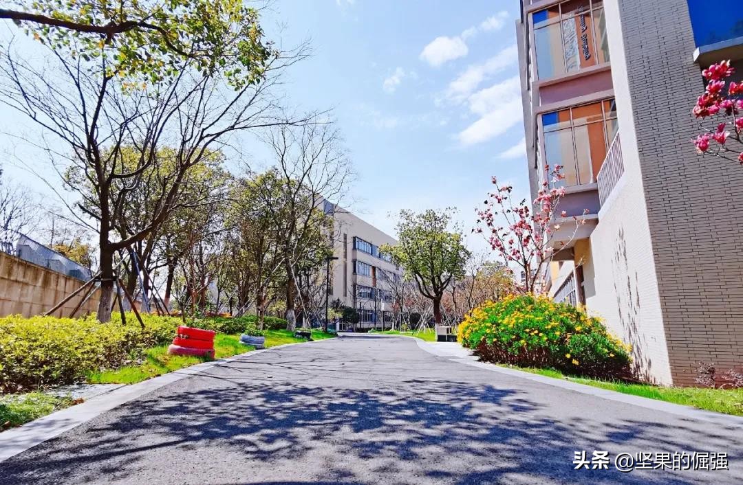 苏州市九所优质民办初中，附四星级高中达线率