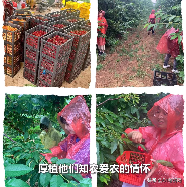 考研看过来，最近上热搜的这所985，说它最好考，没人不同意吧