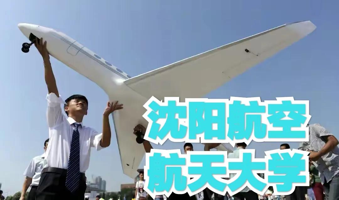 沈阳航空航天大学排名（高考大学数据解读）