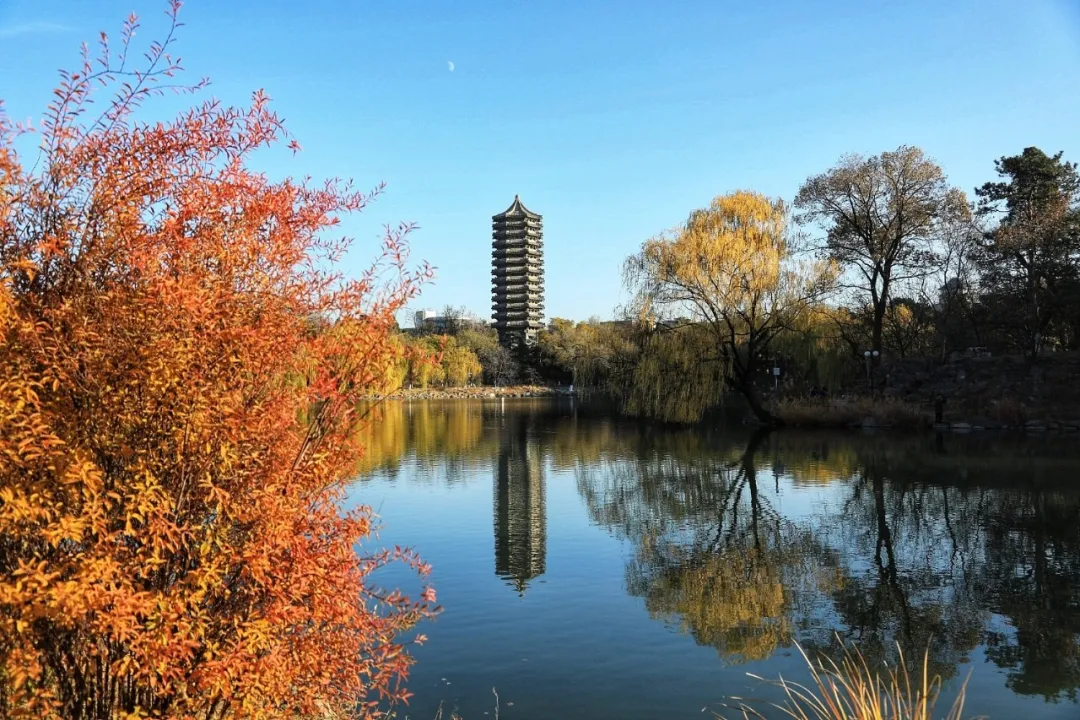 好大学生产人中人，而不是人上人